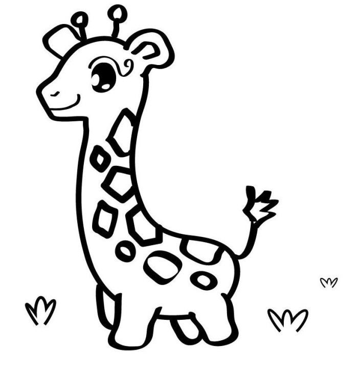 Printable Cute Animal - Coloring Pages for Kids and for Adults