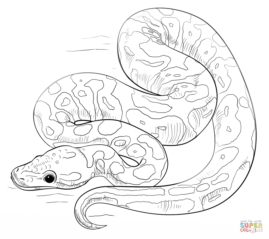 Snakes coloring pages | Free Coloring Pages