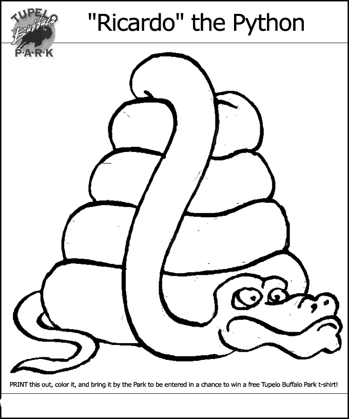 Python coloring page - Animals Town - animals color sheet - Python ...
