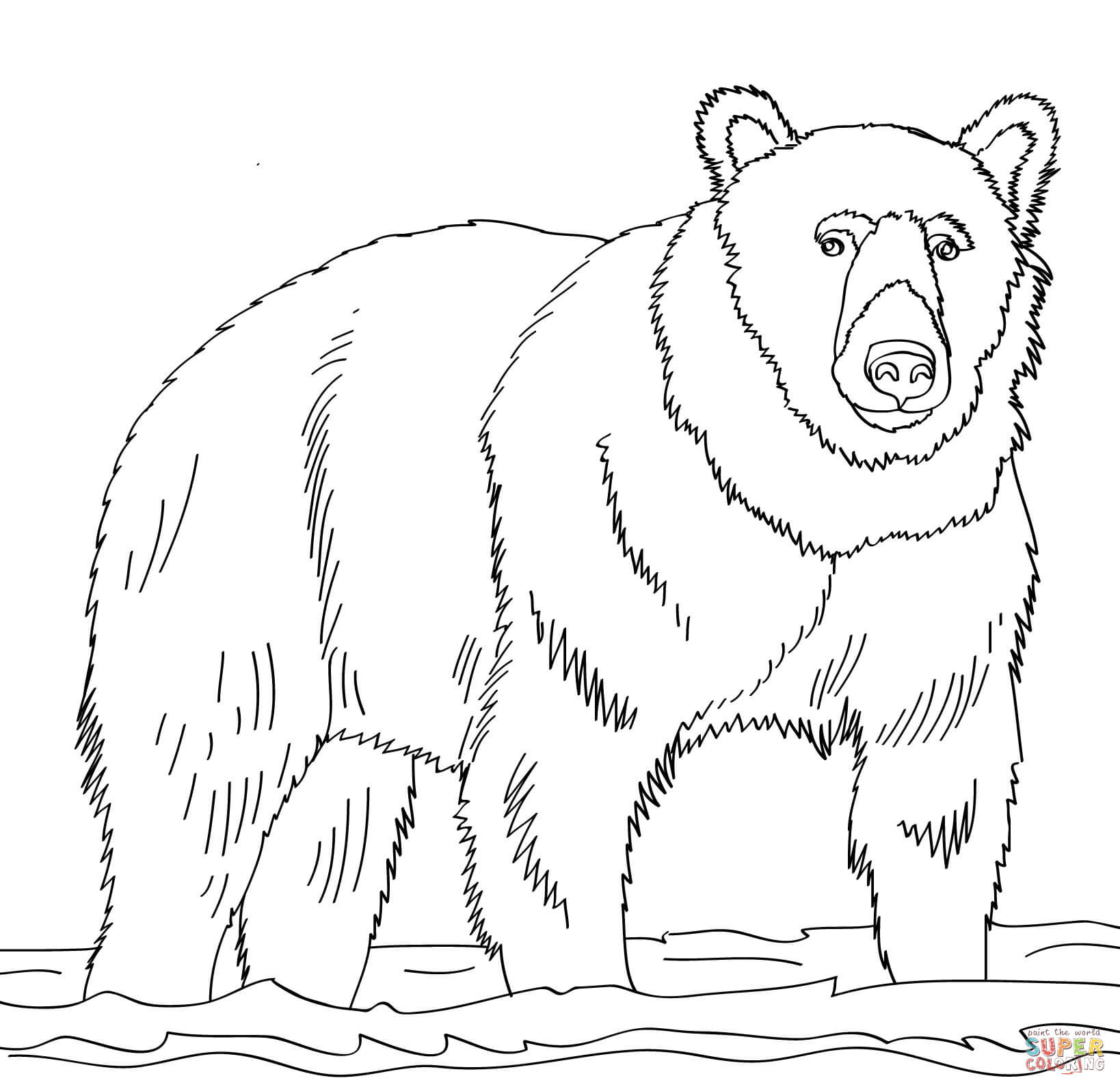 Brown bears coloring pages | Free Coloring Pages