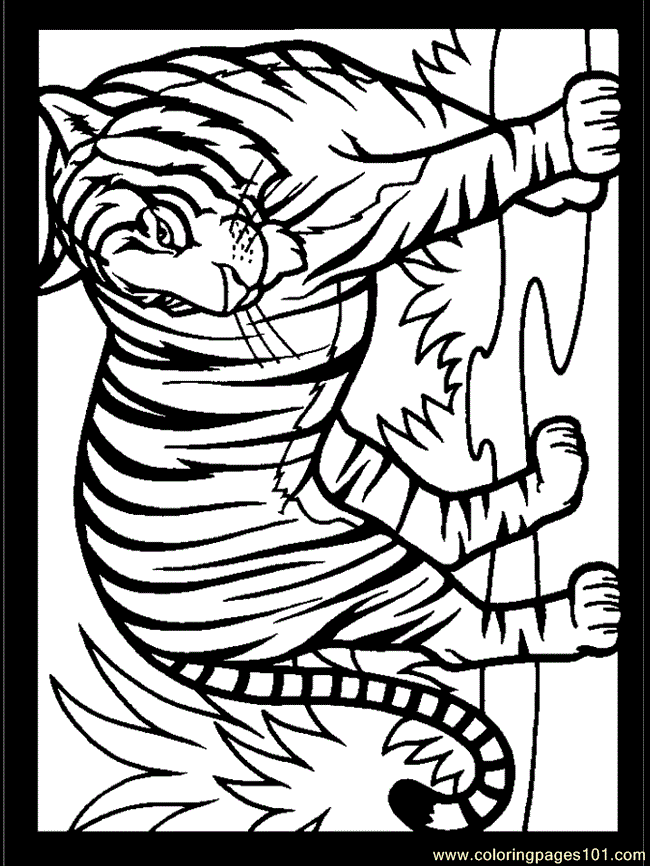 Coloring Pages Tiger Coloring 3 (Mammals > Tiger) - free printable