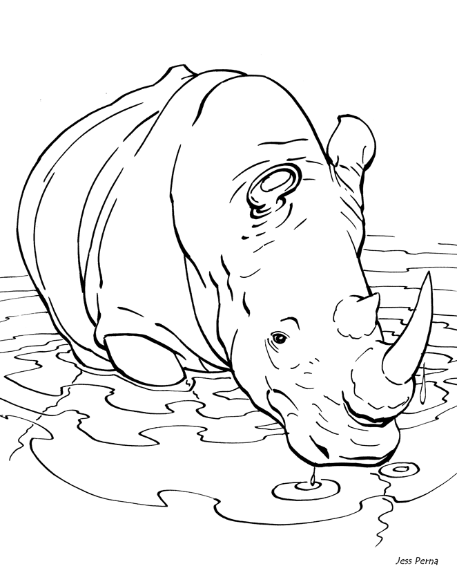 Rhino Colouring Pages (page 2)