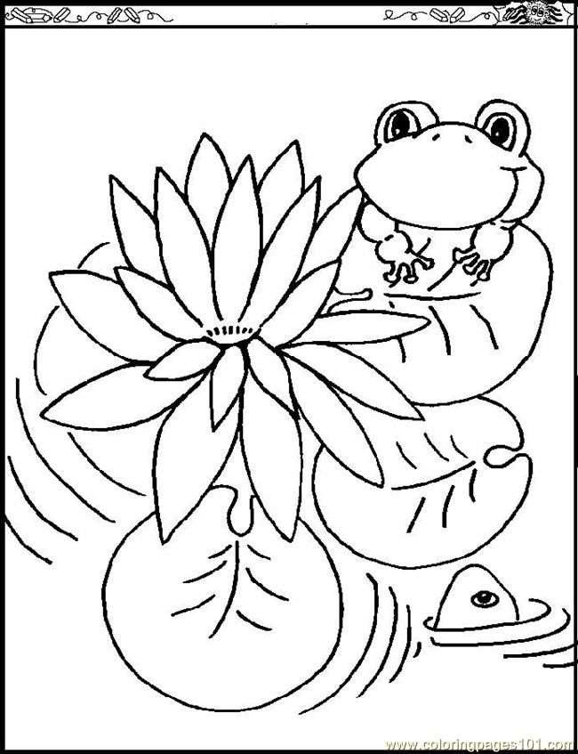 Free Printable Coloring Page Water Lily Natural World Flowers