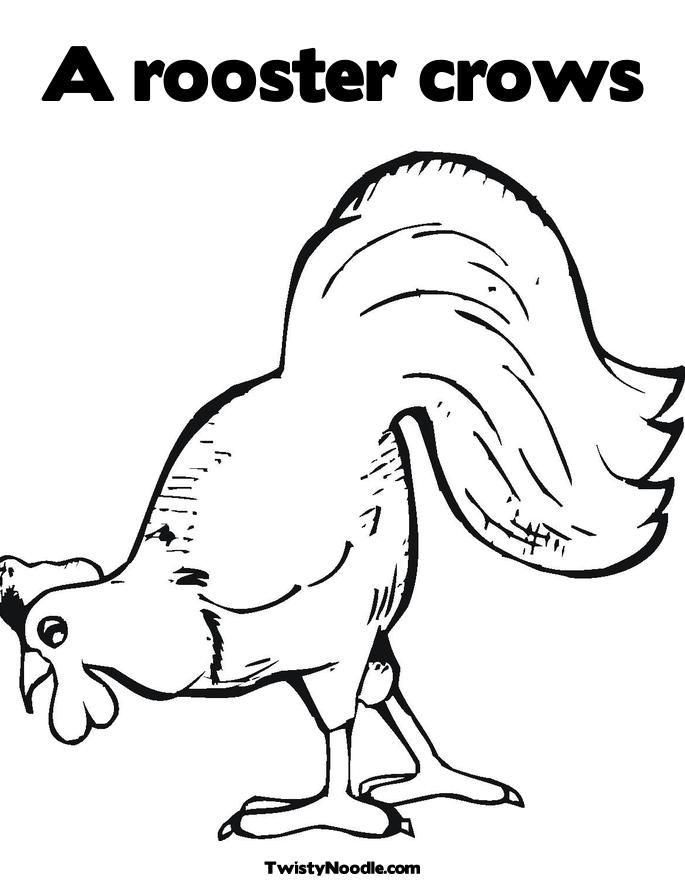 Rooster Outline Coloring Pages 318 | Free Printable Coloring Pages