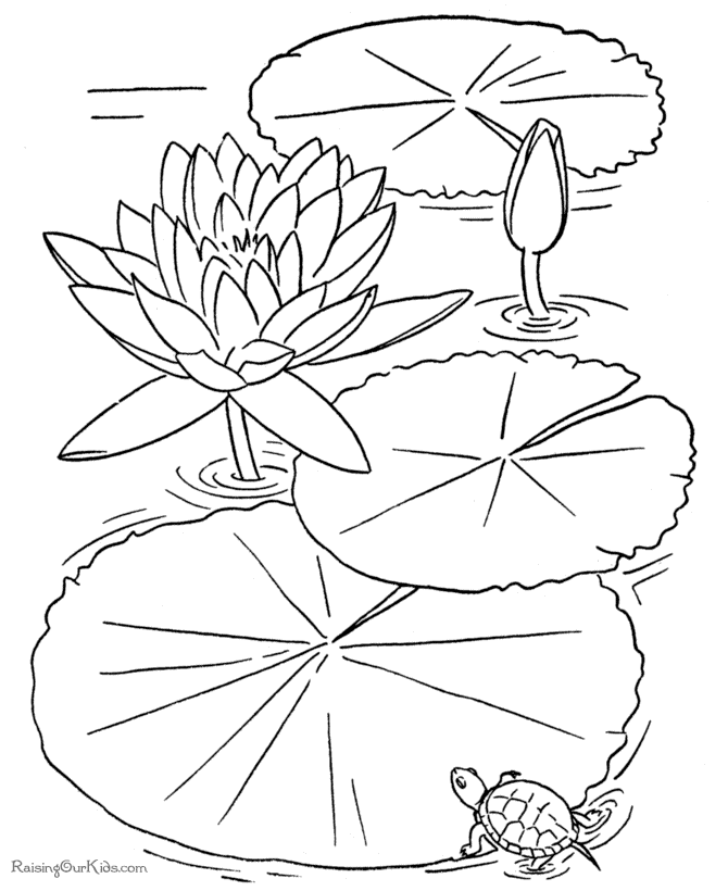 Colouring Pages For Kids Printable Flowers