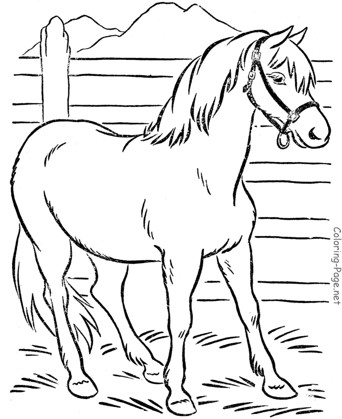 Horse Coloring Page - Farm horse