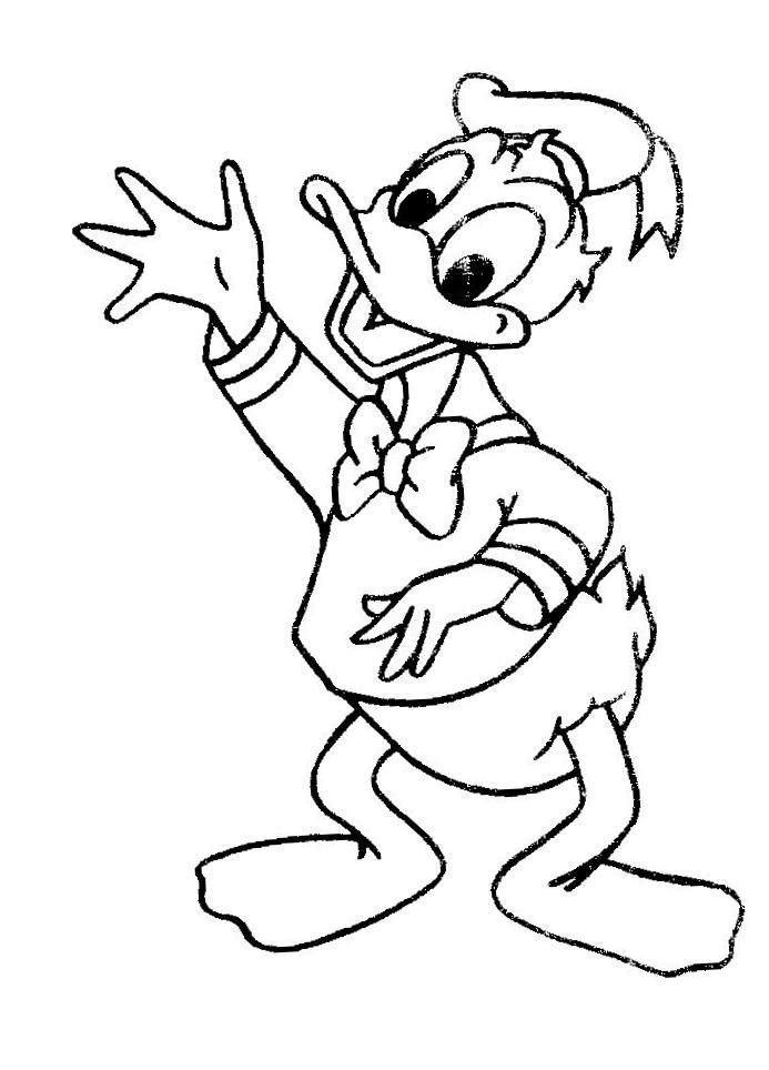 Donald Duck Coloring Pages 3 97084 High Definition Wallpapers