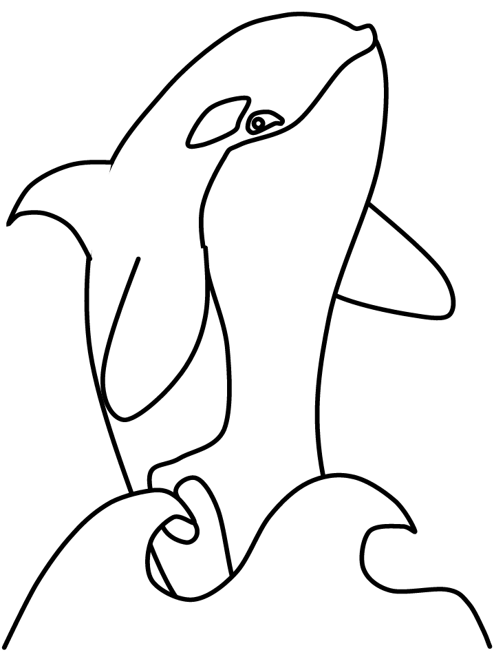 Orca Whale Coloring Page Tattoo