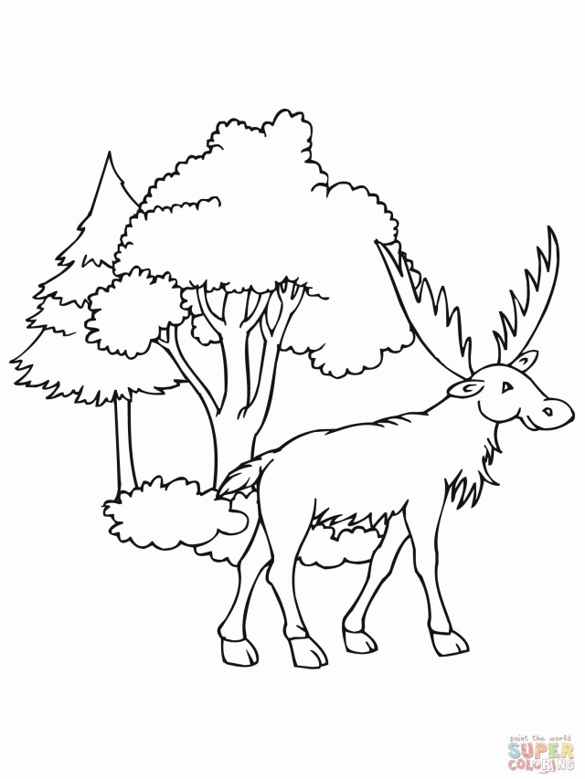 Funny Moose Coloring Online Super Coloring 244767 Moose Coloring Pages