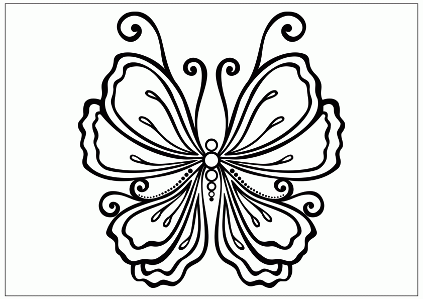 beautiful-butterfly-drawing-