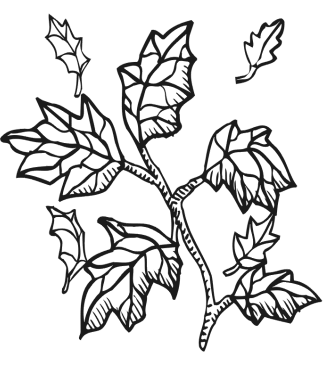 Fall Tree Without Leaves Coloring Page - Tree Coloring Pages