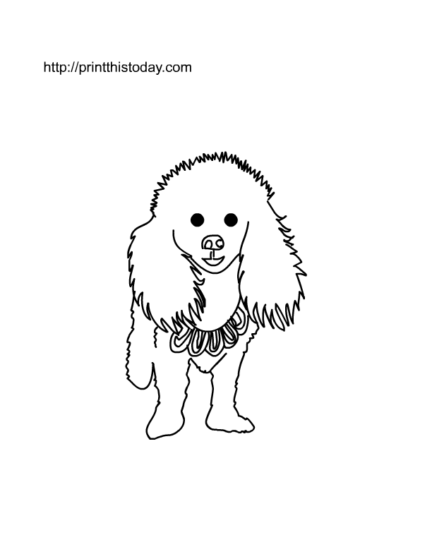 8 Pics of Fluffy Cute Puppy Coloring Pages - Cute Puppy Coloring ...