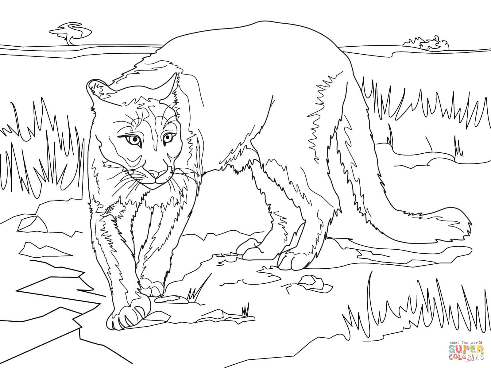 Cougar coloring pages | Free Coloring Pages