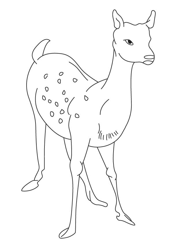 Alone deer coloring page | Download Free Alone deer coloring page