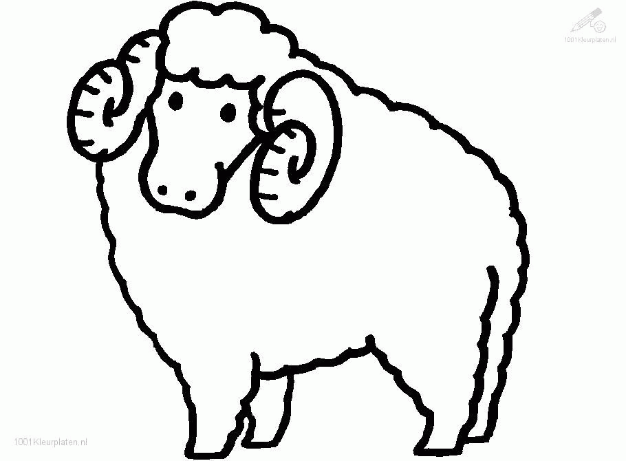 coloringpages animals sheep coloring page