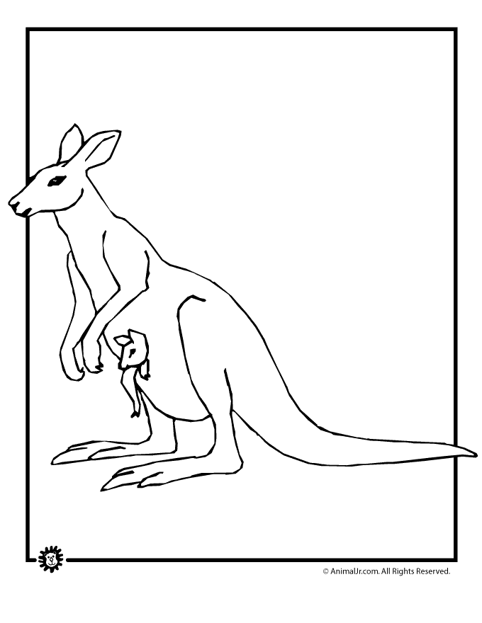kangaroo-baby-coloring | Classroom Jr.
