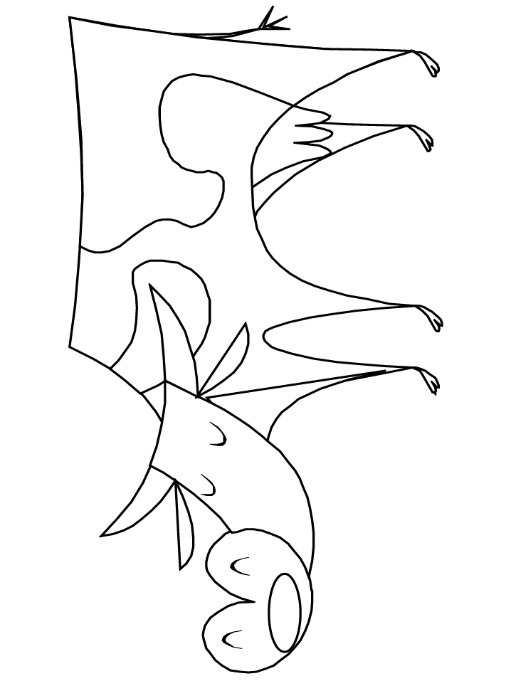 Bull Shark Coloring Pages | Free coloring pages