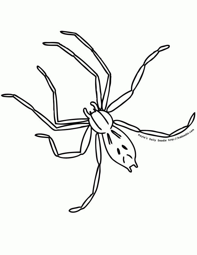 Creepy Crawler Spider