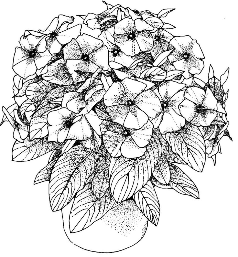 New Coloring Page: Free Coloring Pages For Adults Flowers Adults ...