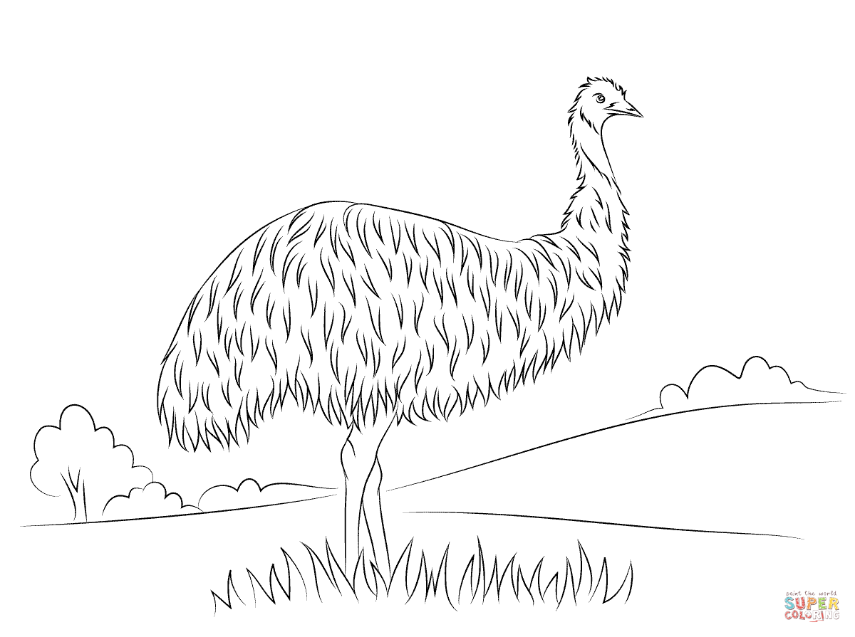 Cute Emu coloring page | Free Printable Coloring Pages