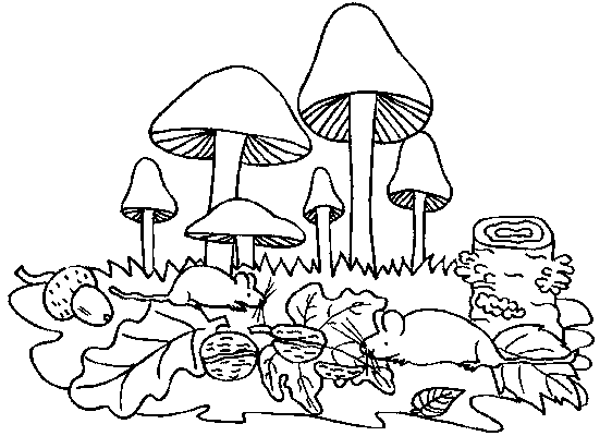 Mushrooms Coloring Page | PicGifs.com