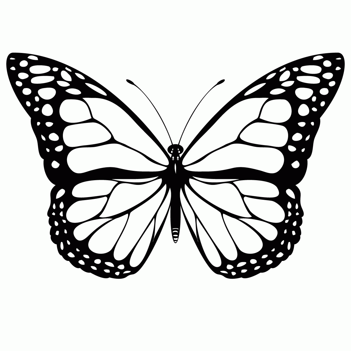 Free Butterfly Coloring Pages Printable | Free Coloring Pages