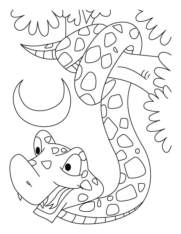 14 Pics of Reticulated Snake Coloring Pages - Boa Constrictor ...