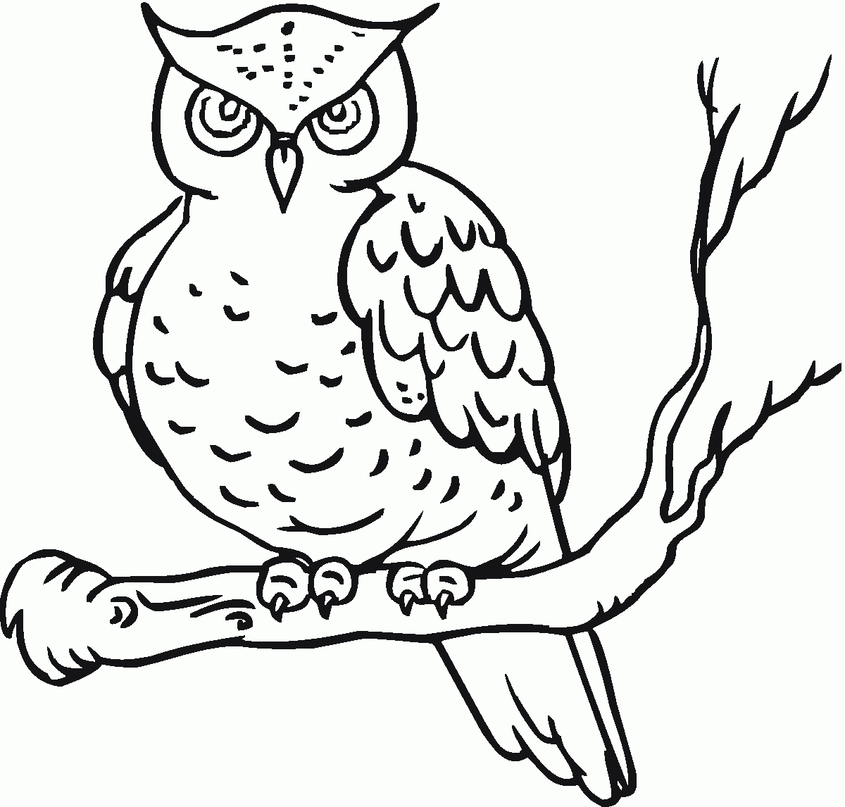 Coloring Pages Of Baby Owls - High Quality Coloring Pages