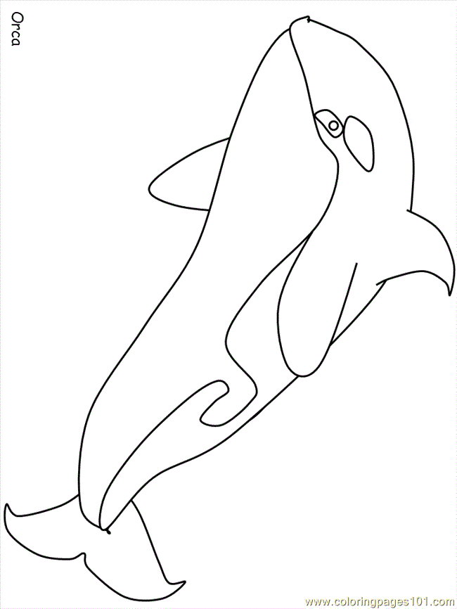 Coloring Pages Whale Fish 01 (Mammals > Whale) - free printable
