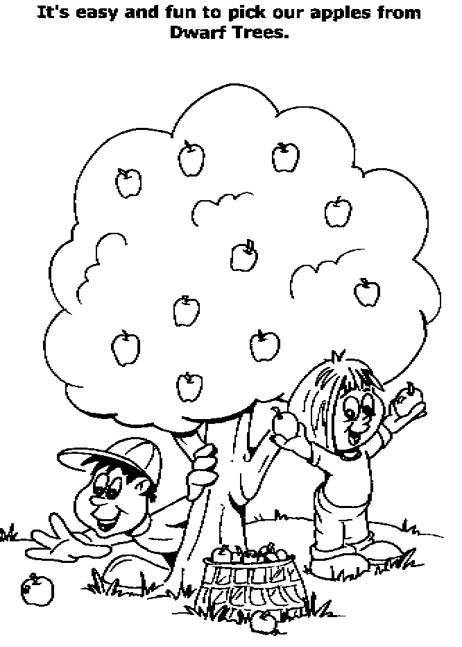 Apple-tree-coloring-pictures-1 | Free Coloring Page Site