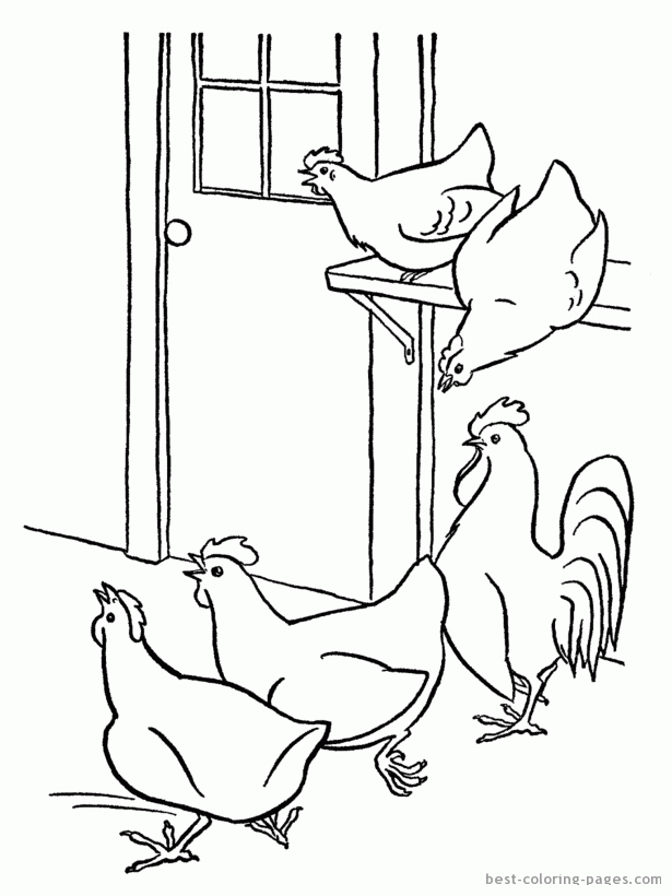 Hens coloring pages | Best Coloring Pages - Free coloring pages to