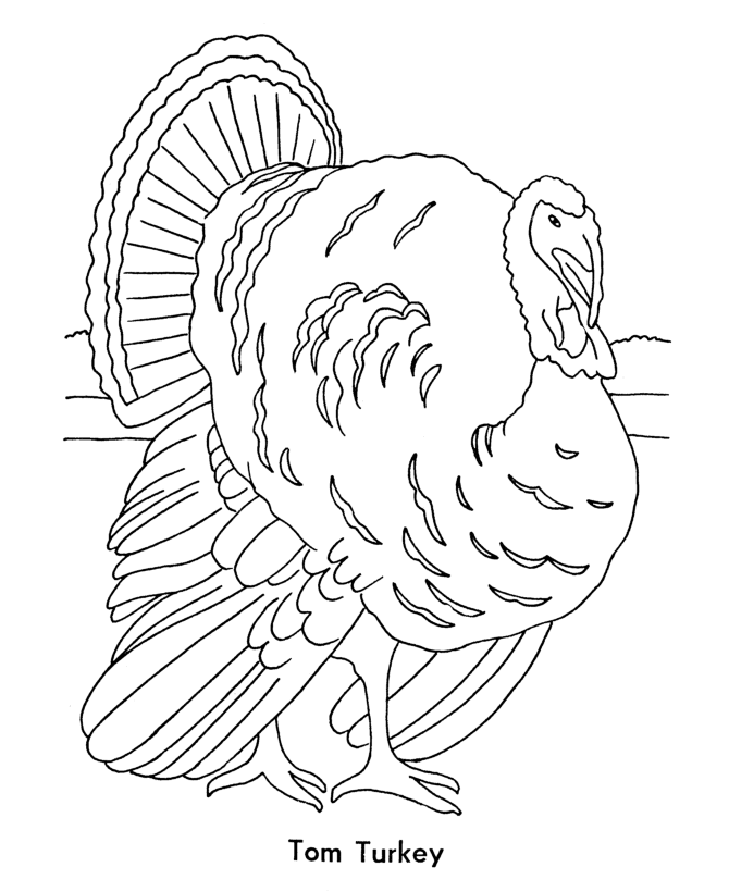 BlueBonkers: Fun Printable Halloween Coloring Page Sheets