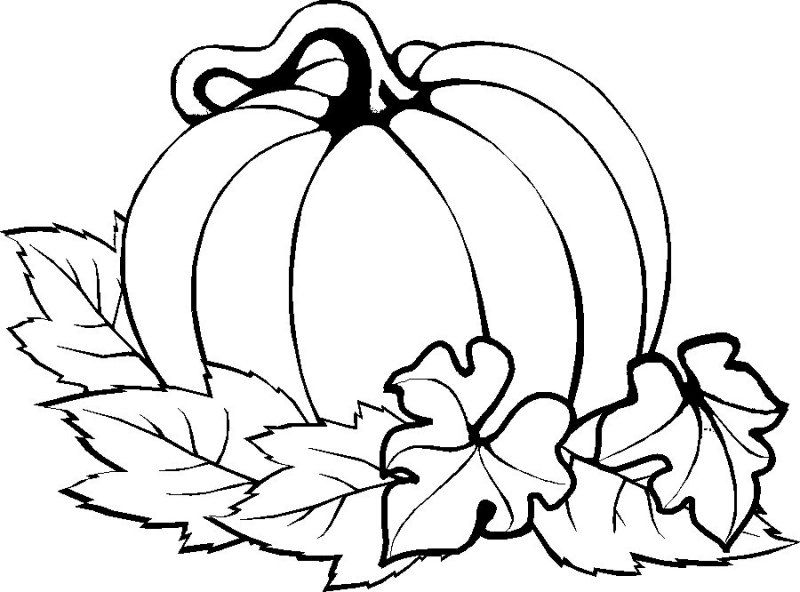 Pumpkins Coloring Pages | Fall coloring pages, Pumpkin coloring ...