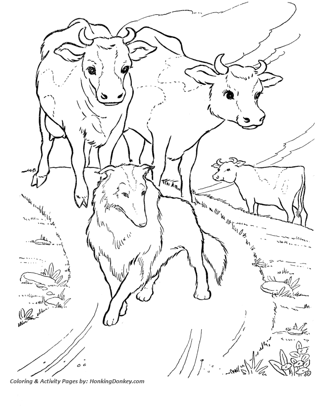 Cow Coloring Pages | Printable Dairy herd coloring page ...