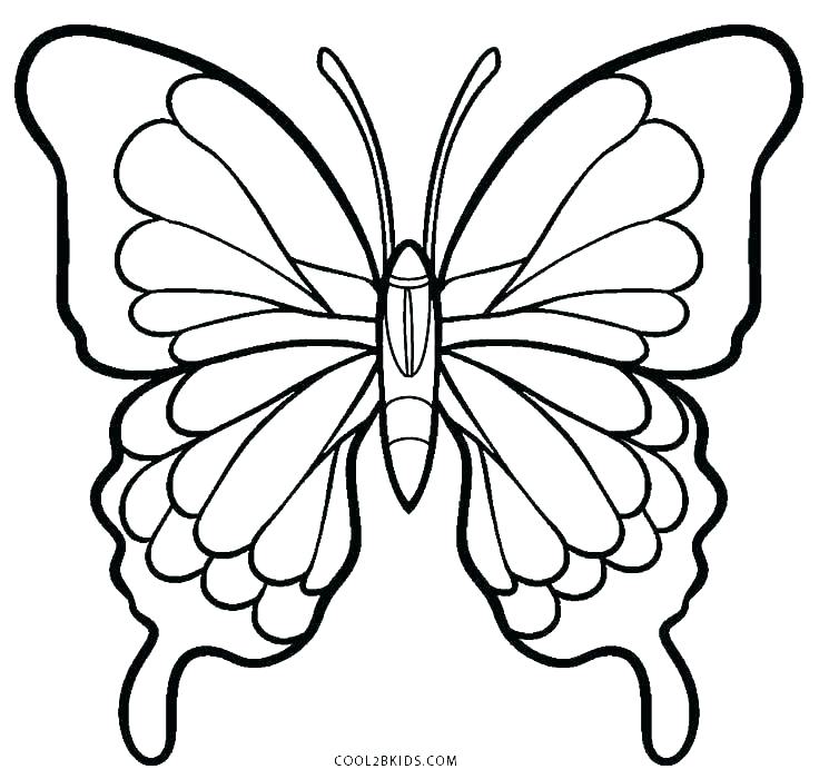 Simple Butterflyoring Page Pages Free House Moth – azspring