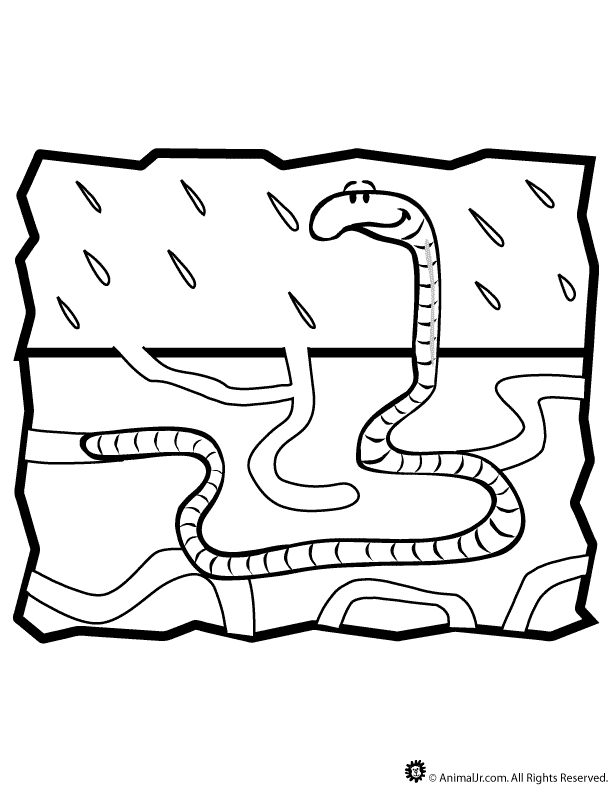 Worm Coloring Page - Woo! Jr. Kids Activities