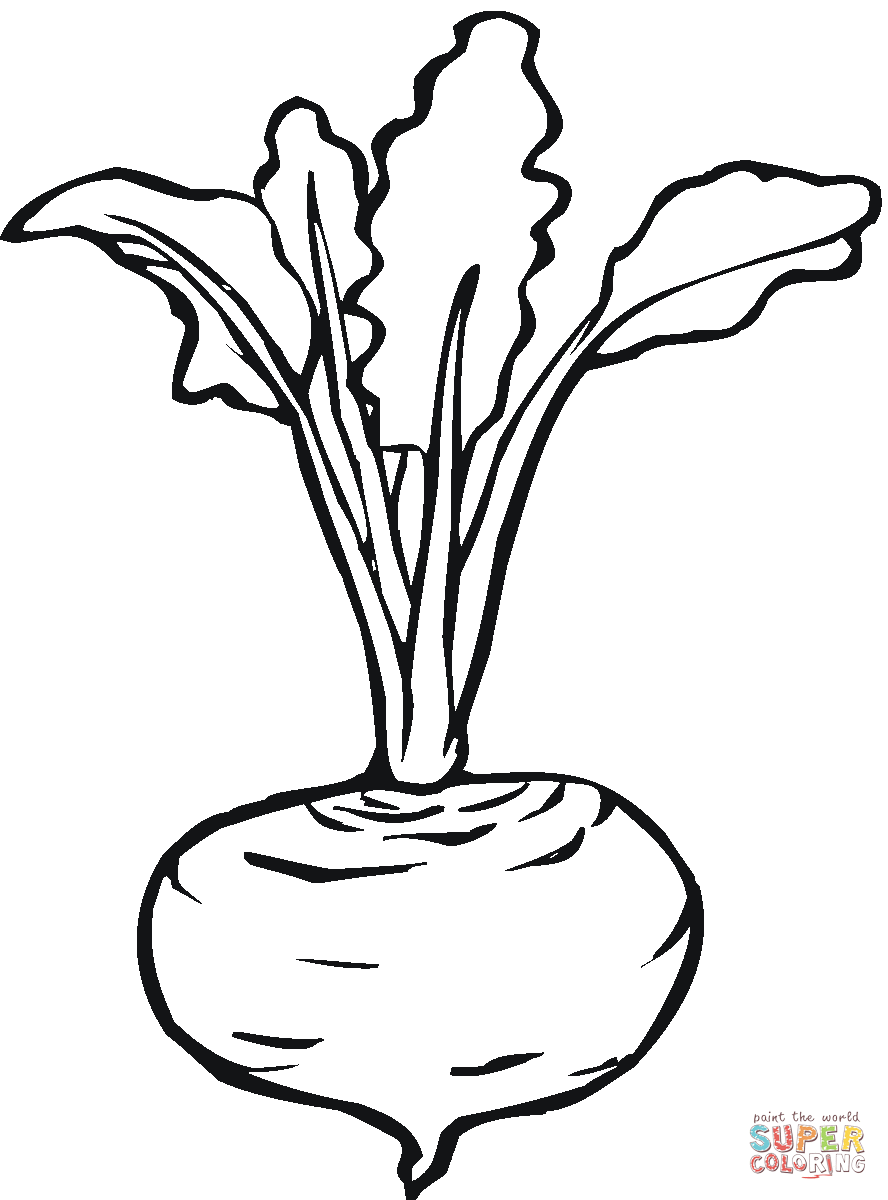Beets coloring pages | Free Coloring Pages