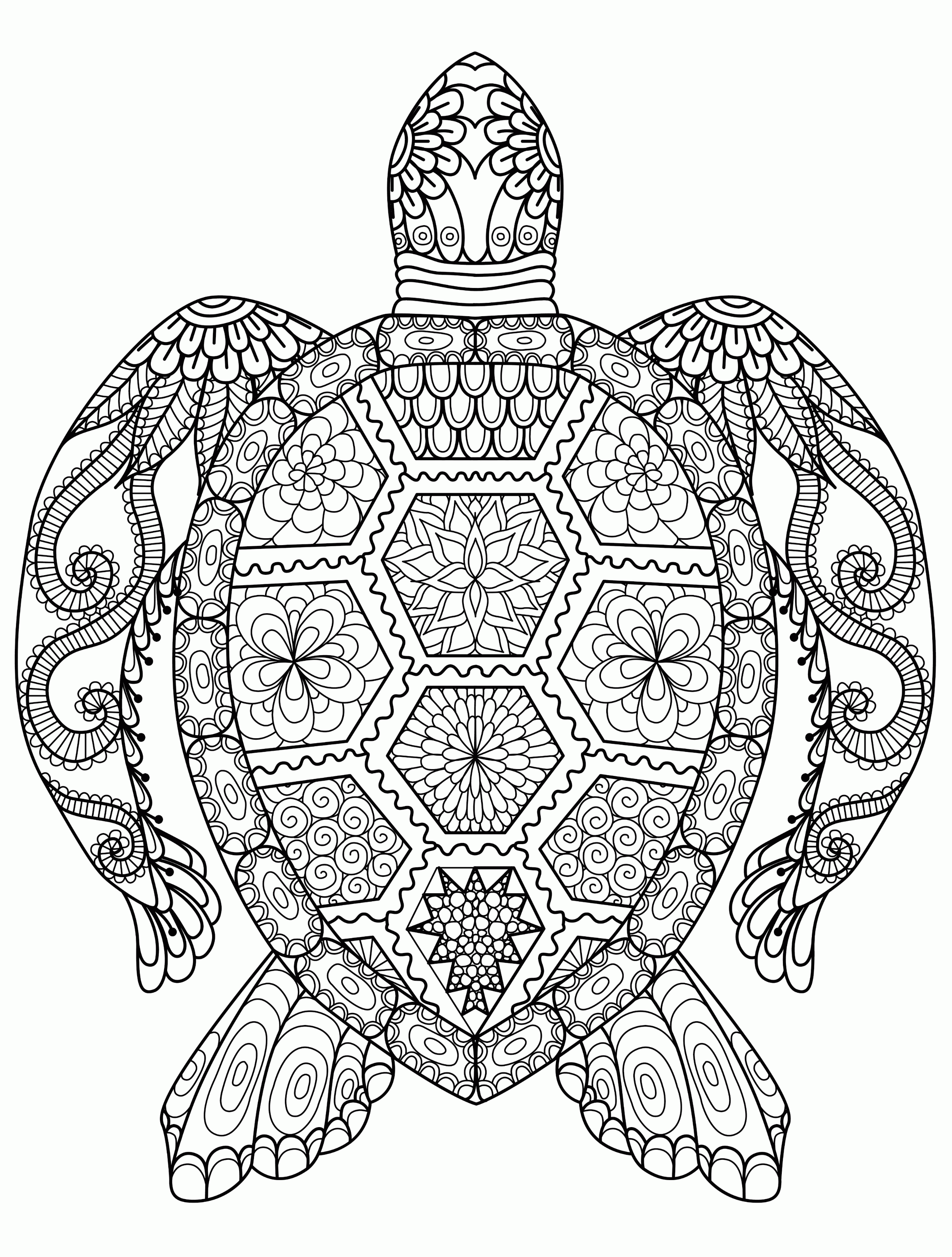 Coloring pages for adults - Free artwork