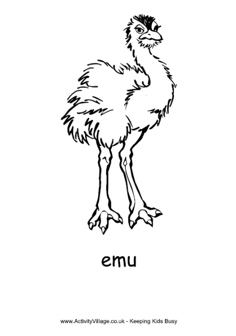 Emu Colouring Page | Animal coloring pages, Colouring pages, Australian  animals