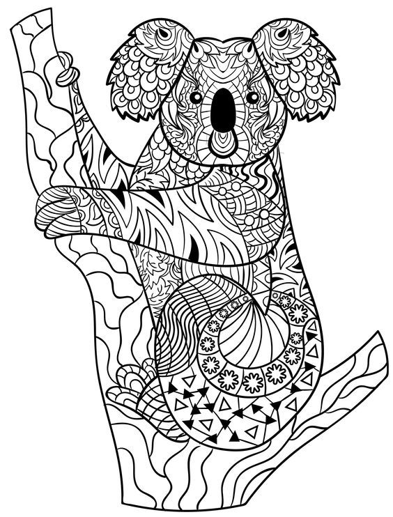 Koala zentangle | Elephant coloring page, Bear coloring pages