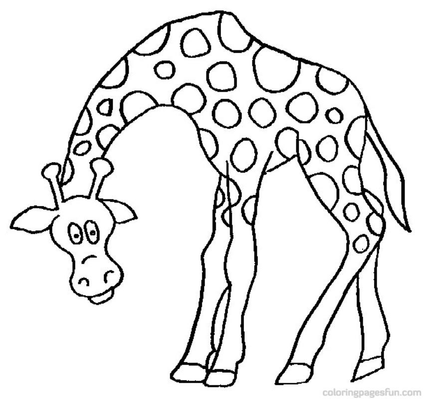 giraffe head Colouring Pages