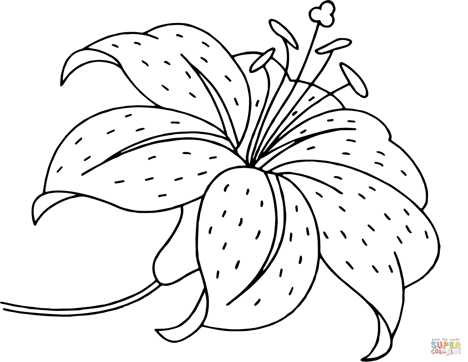 Lily Flower coloring page | Free Printable Coloring Pages