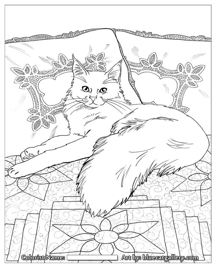 Bluecat Gallery - Adult coloring books by Jason Hamilton ...