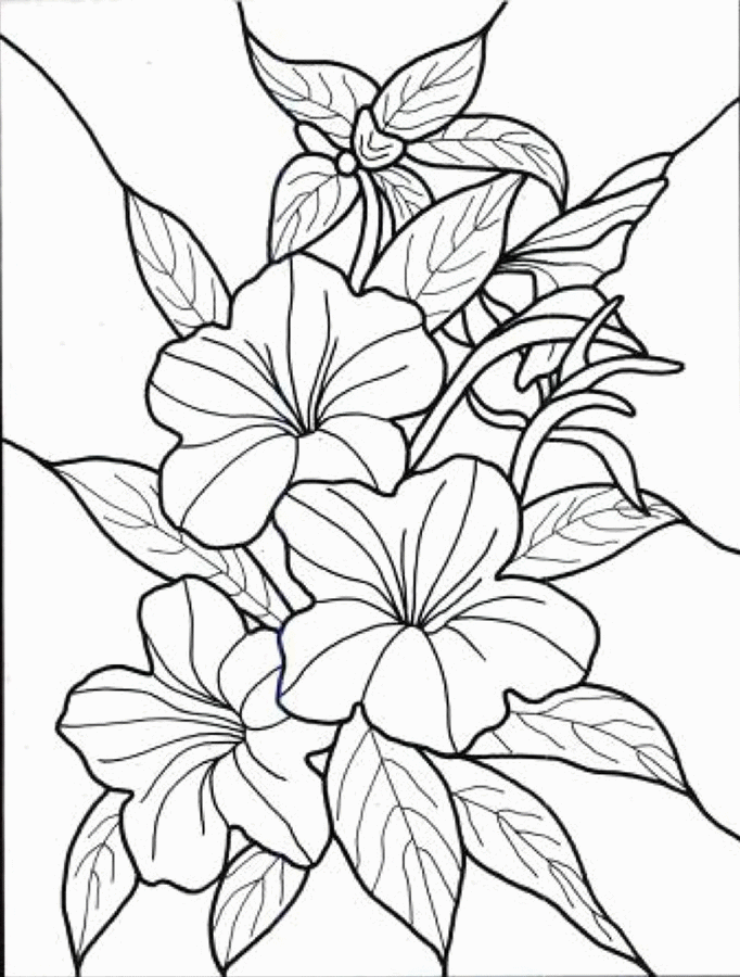 Flowers Coloring Pages For Adults | Nucoloring.xyz