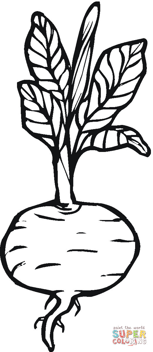 Beetroot 8 coloring page | Free Printable Coloring Pages