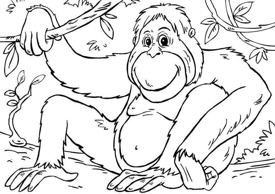 Coloring page orangutan - img 27860.