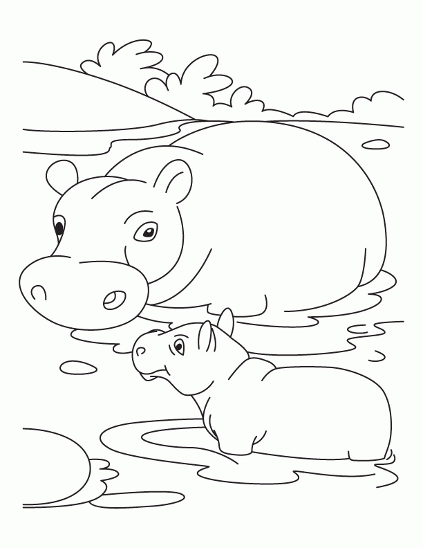 baby hippopotamus Colouring Pages (page 3)