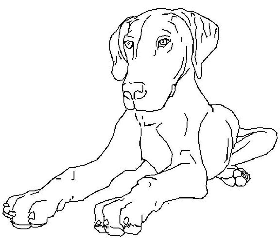 Dogs Coloring Pages 4 | Free Printable Coloring Pages