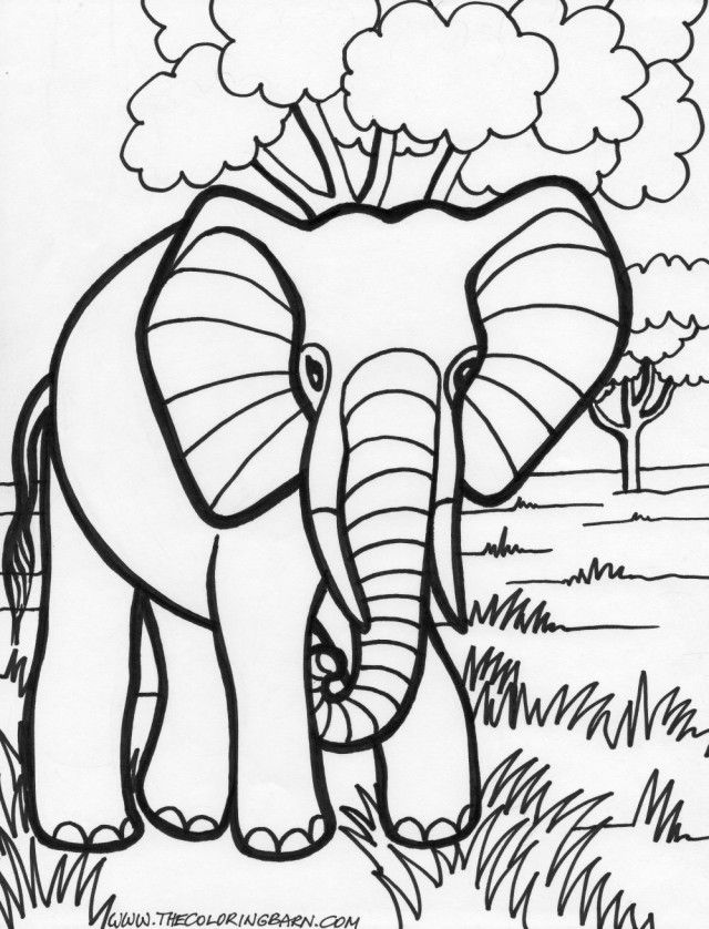 Elephant Coloring Pages Coloringpages Printable Elephant 290052