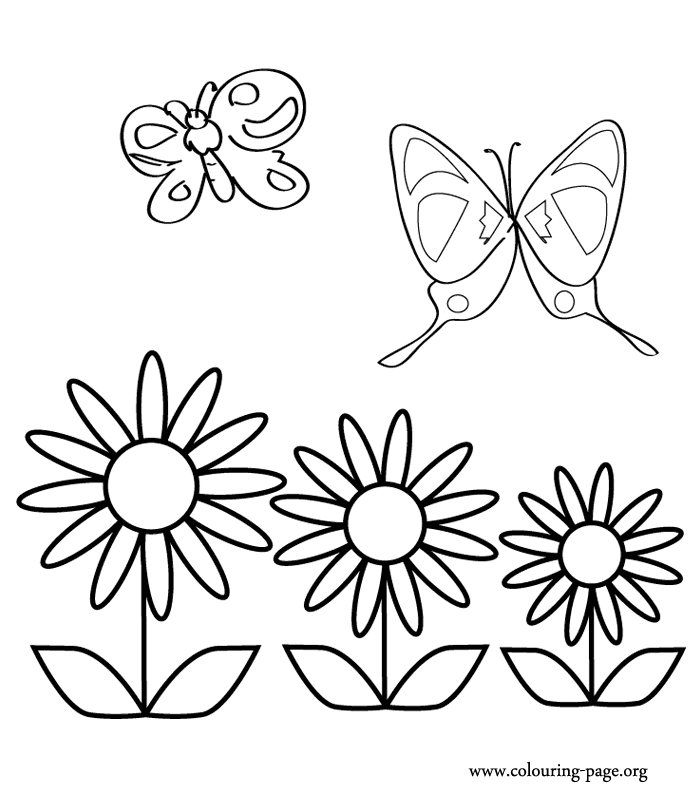 Butterflies - Two amazing butterflies coloring page